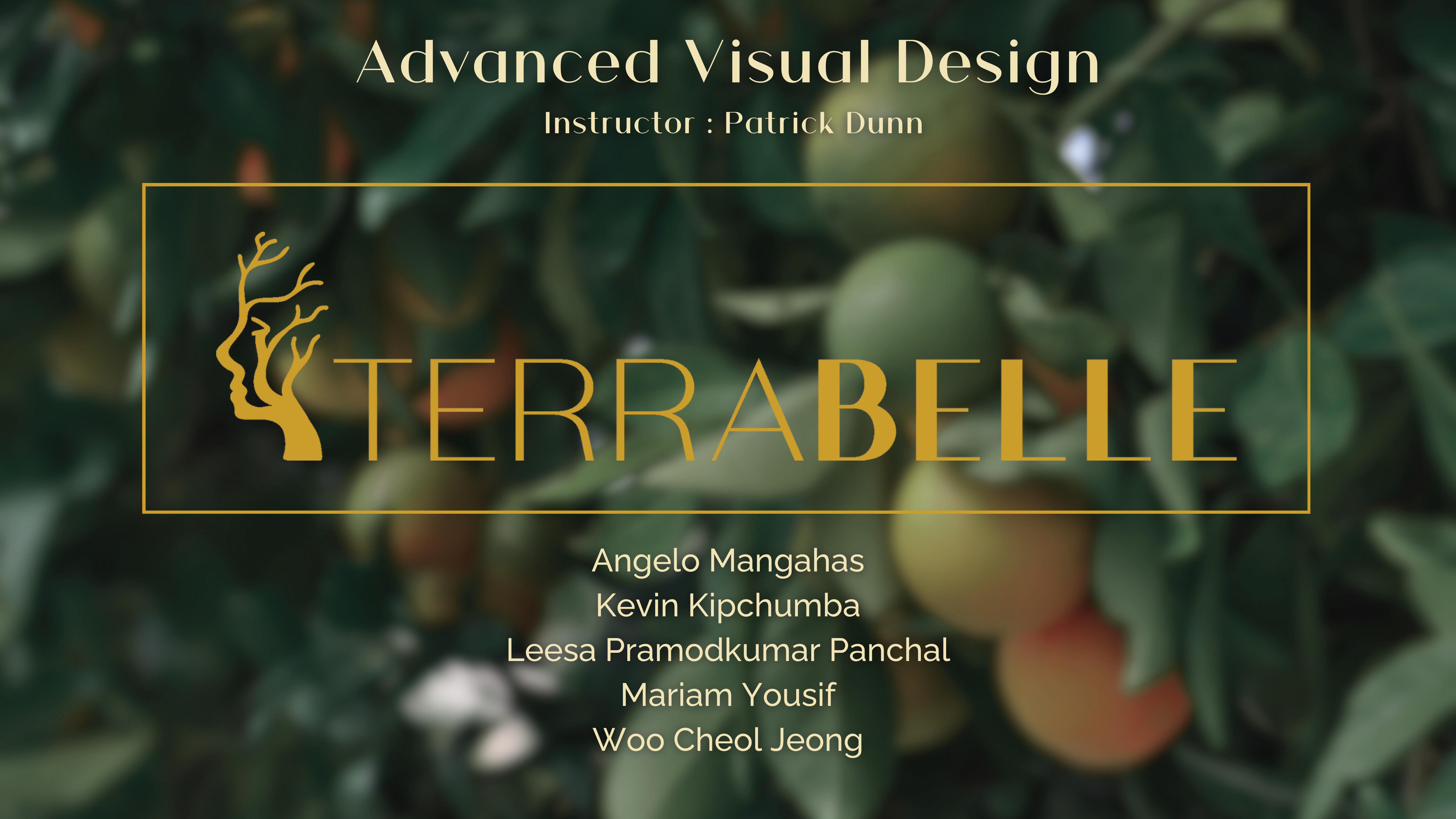 Project image viewer